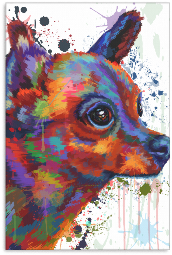 Chihuahua - Companion Dog (900x900), Png Download
