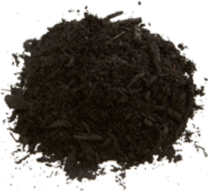 Black - Earl Grey Tea (420x434), Png Download