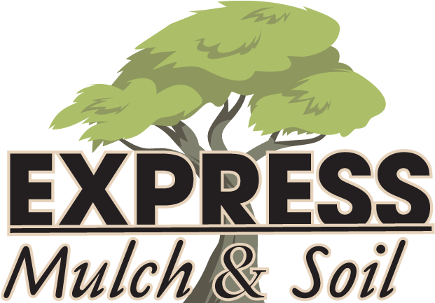 Nissan Express Service Logo Png (635x438), Png Download