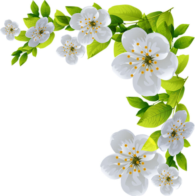 Art Flowers, Clip Art, Illustrations, Artificial Flowers - Burnet Rose (800x807), Png Download