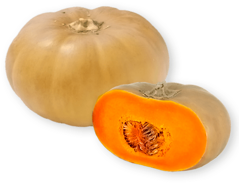 Squash - Squash Transparent (485x378), Png Download
