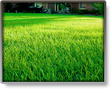 Complete This Form And One Of Our Lawn Technicians - Lawn Care (400x309), Png Download