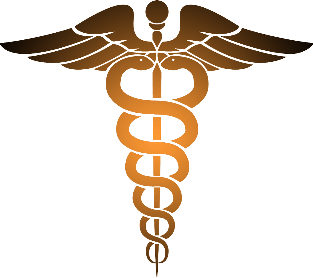 Caduceus Orange - Non Emergency Medical Transportation Logo (1024x910), Png Download