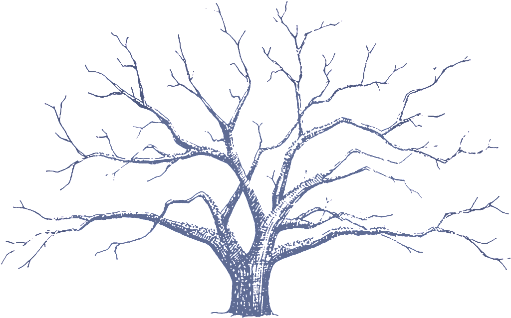 Download Hd Diy Wedding Fingerprint Tree Transparent Png Image Nicepng Com