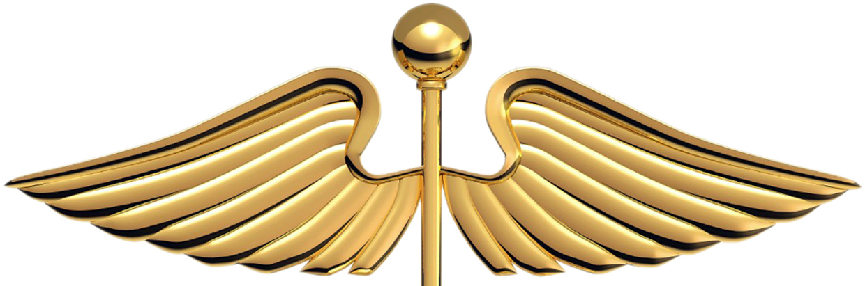 Cropped Caduceus Logo 1 (1240x411), Png Download