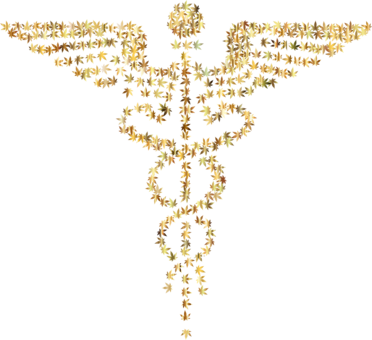 Medical Cannabis Caduceus As A Symbol Of Medicine Computer - Medical Backroud Png (372x340), Png Download