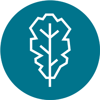 Community Icon - Icon (1000x1000), Png Download