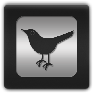 Flickr Logo Icon - Icon (420x420), Png Download