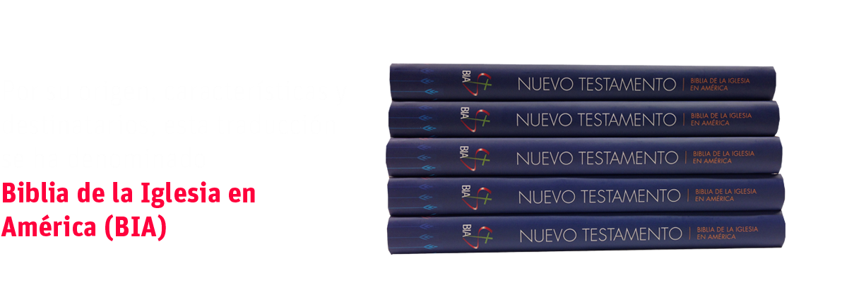 Anteriorposterior - Biblia De La Iglesia En América (1200x430), Png Download