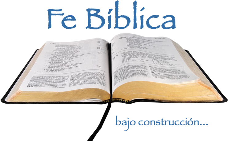 Open Bible (750x478), Png Download