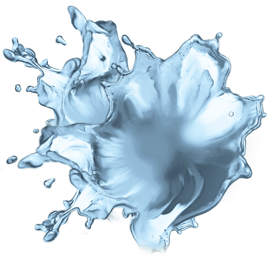 Illustration (590x526), Png Download