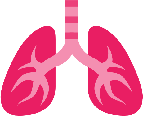 Lung Png (500x500), Png Download