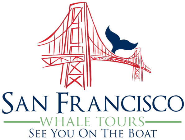 Transparent Pngsvg Home San Francisco Whale Tours San - San Francisco Logo Png (610x450), Png Download