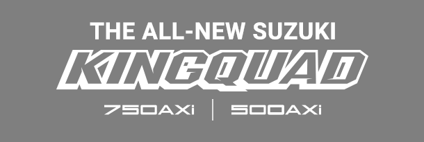 All New Suzuki Header Logo - Suzuki Ts 50 X (610x205), Png Download