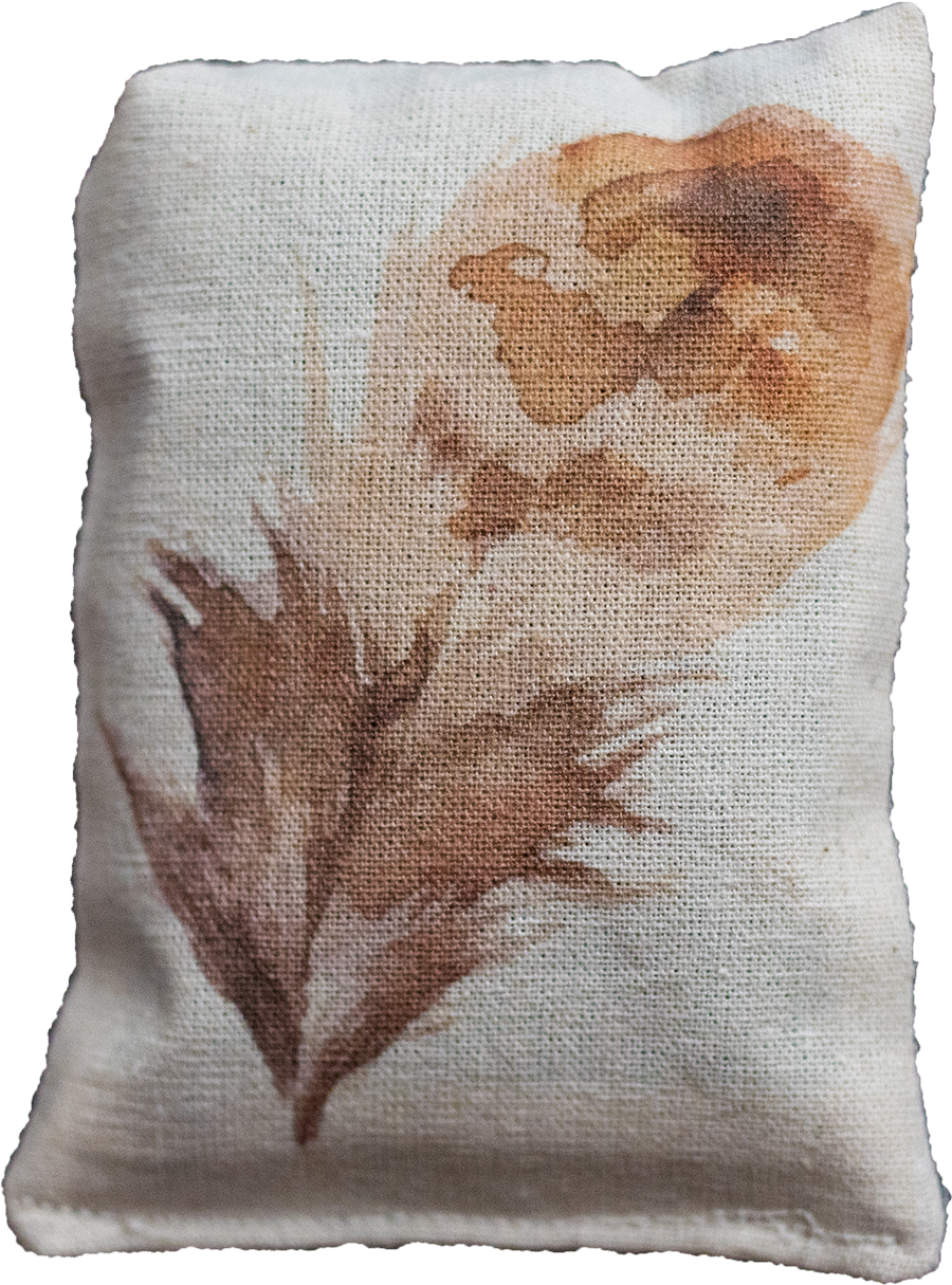 Watercolor Brown Feather - Cushion (900x1215), Png Download