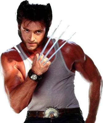 Wolverine - X Men Origins Wolverine Hugh Jackman (335x400), Png Download