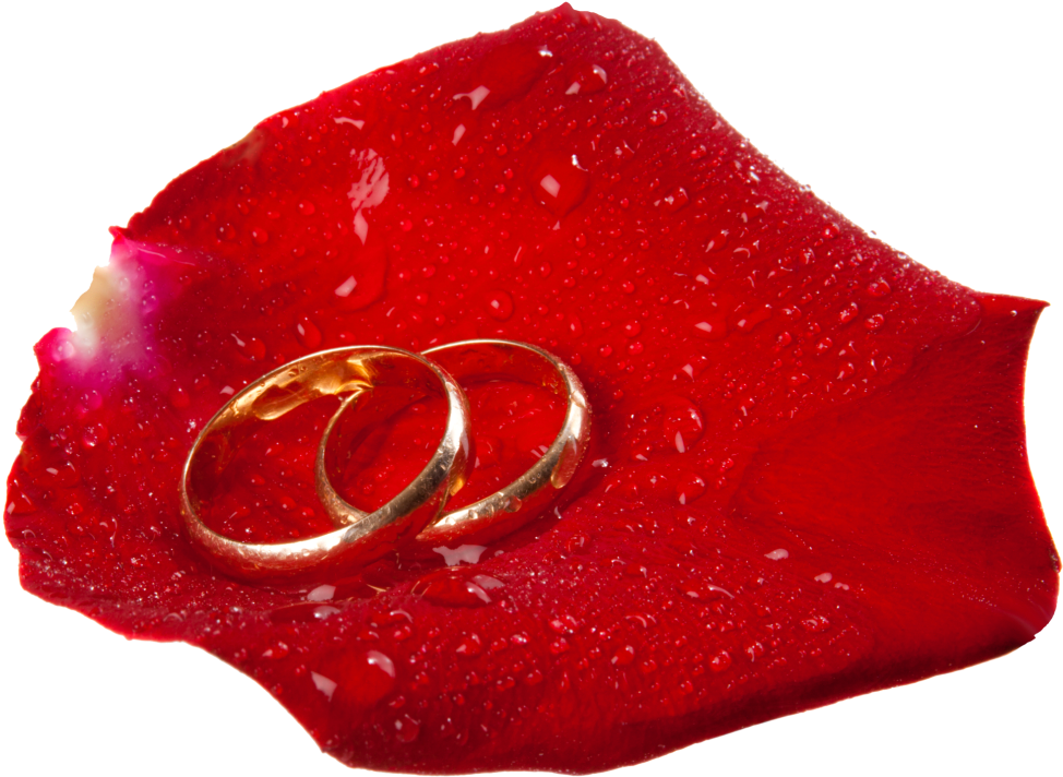 Free Png Wedding Rings In Rose Petal Png Images Transparent - Love You Dp (850x627), Png Download