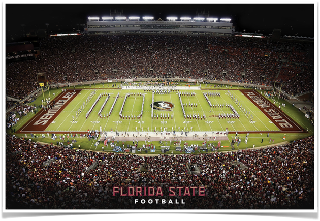 Florida State Seminoles - Florida State Seminoles Football (800x800), Png Download