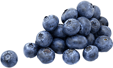 A Few Blueberries - Blueberry Png Transparent (400x400), Png Download