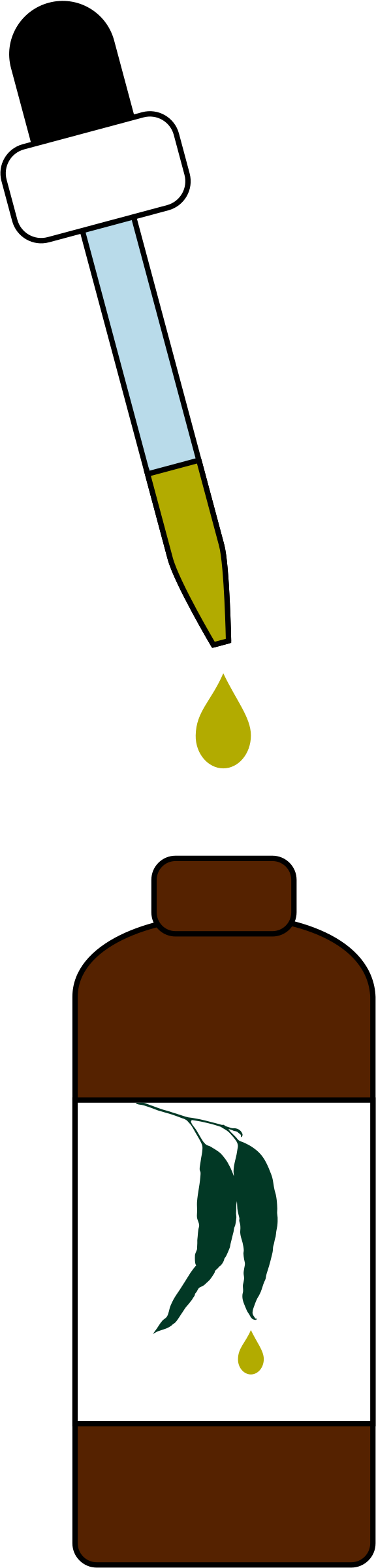 Oil Clipart Essential Oil - Essential Oil Clipart Transparent (576x2400), Png Download