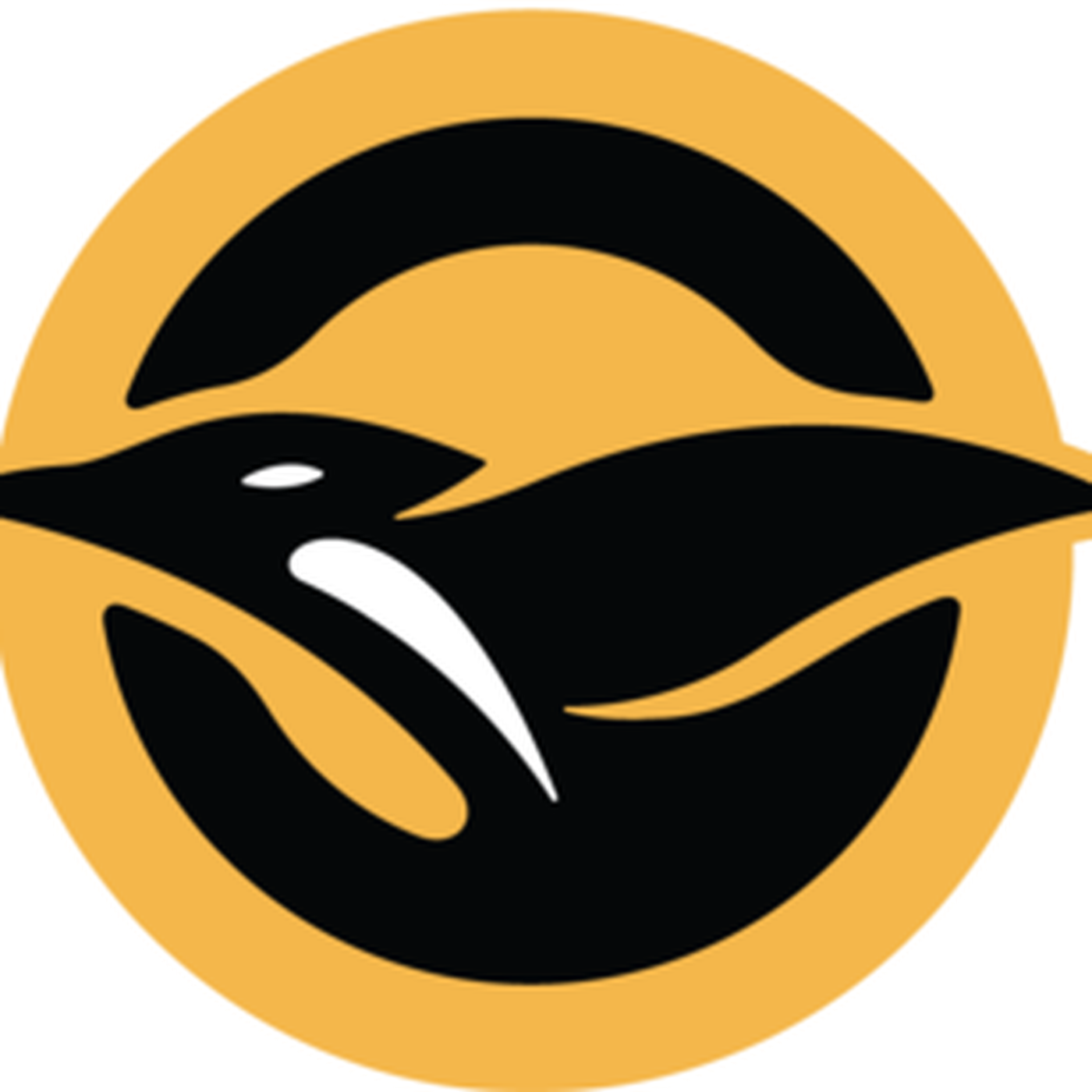 People Like The Pittsburgh Penguins - Pittsburgh Penguins (1400x1400), Png Download