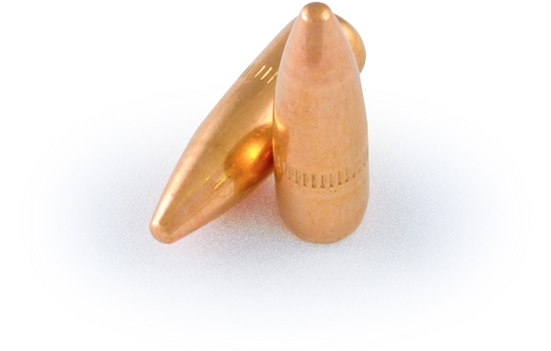 Copper Plated - Earrings (700x460), Png Download