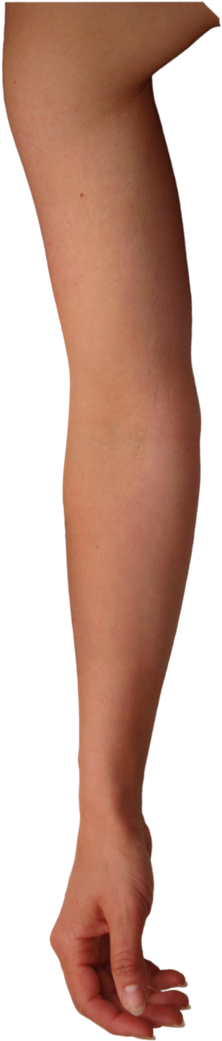 Right Arm Png Image - Hanging Arm Png (400x1549), Png Download
