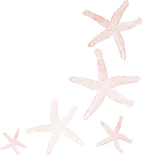 Starfish Stairway Coral Colors Clip Art At Clker - Starfish (546x595), Png Download