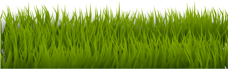 Background Border Grass Green Herb Landsca - Grass Svg (680x340), Png Download