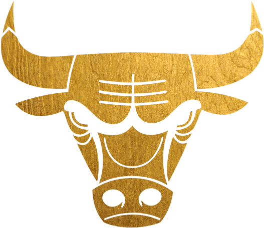 Clip Download Bronco Drawing Logo Chicago Bulls - Adidas Bulls Snap-back Cap (600x497), Png Download