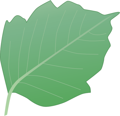 Ian Symbol Rhus Radicans Leaf - Illustration Of A Leaf (400x386), Png Download