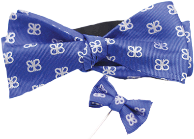 $65 - - Bow Tie (432x288), Png Download