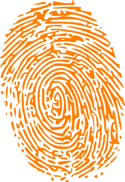 Orange Fingerprint Clip Art At Clker - Round Fingerprint (408x594), Png Download