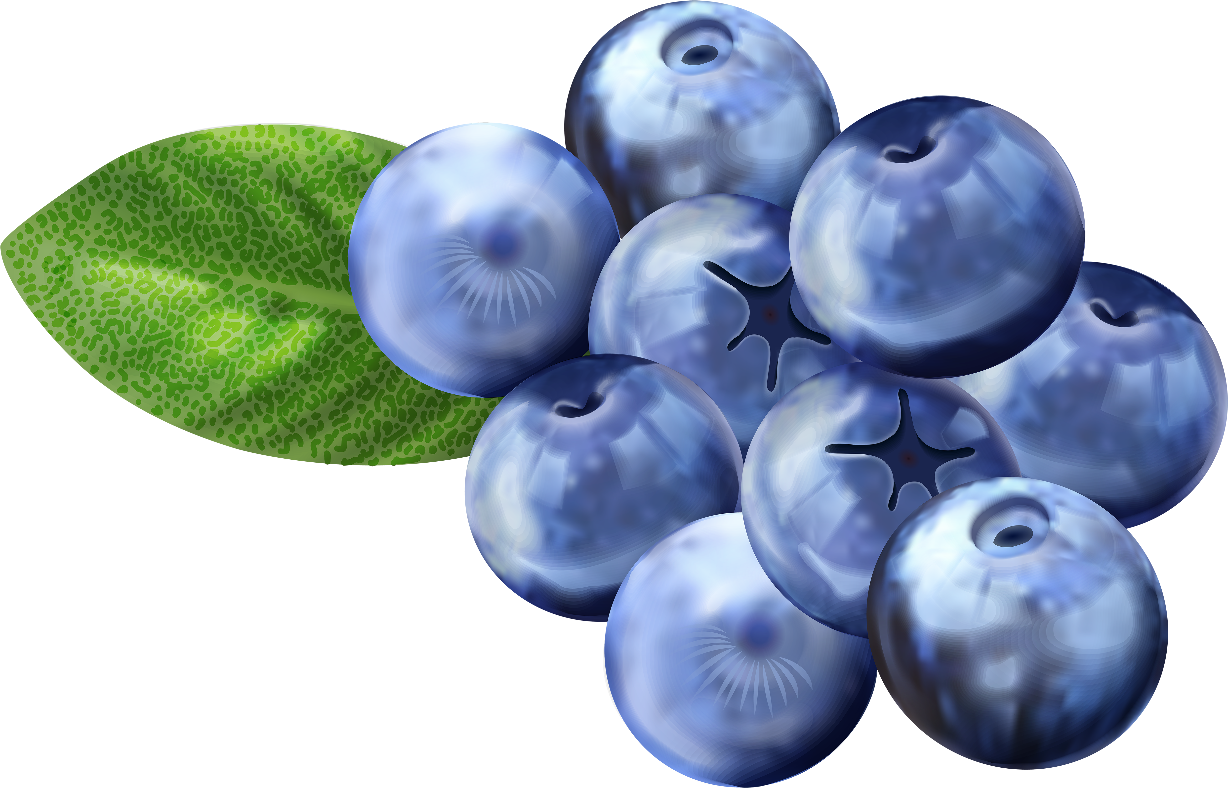 Blueberry Clipart Png - Blueberries Clipart (5000x3218), Png Download