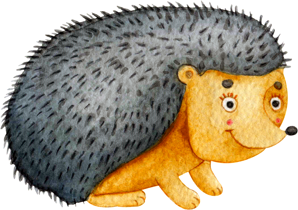 Gray Cute Hedgehog Hand Painted Transparent - Hedgehog (1024x722), Png Download