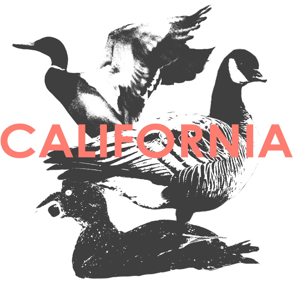 California (1000x1000), Png Download