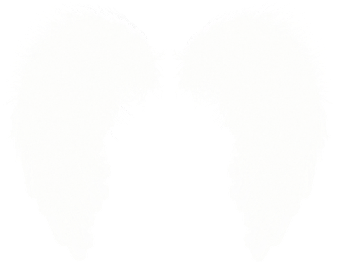 White Wings Png - Пнг Крылья (500x414), Png Download