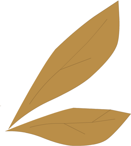 White Scaraleaf Wings - Paper (500x500), Png Download