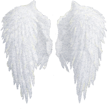 White Wings Png Psychic Tarot Readings - Realistic Angel Wing Drawing (400x400), Png Download
