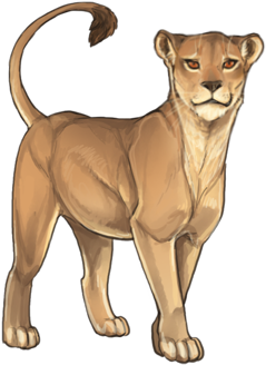 Lioness Png Picture - Kitty Lioden (640x385), Png Download