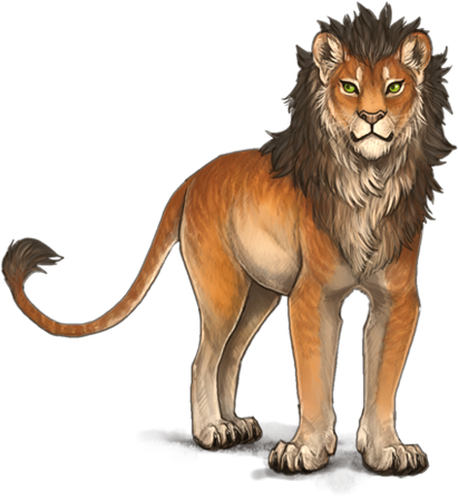 Lion (640x500), Png Download