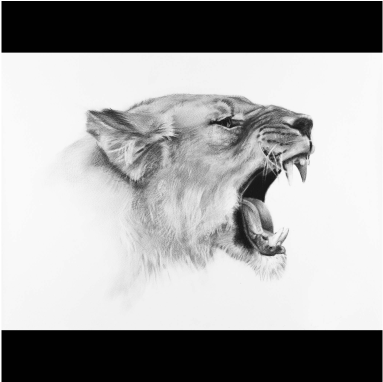 Drawing (564x381), Png Download