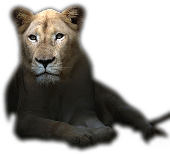 Golden State Tannery (366x330), Png Download