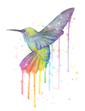 Hummingbird Of Watercolor Rainbow (480x480), Png Download