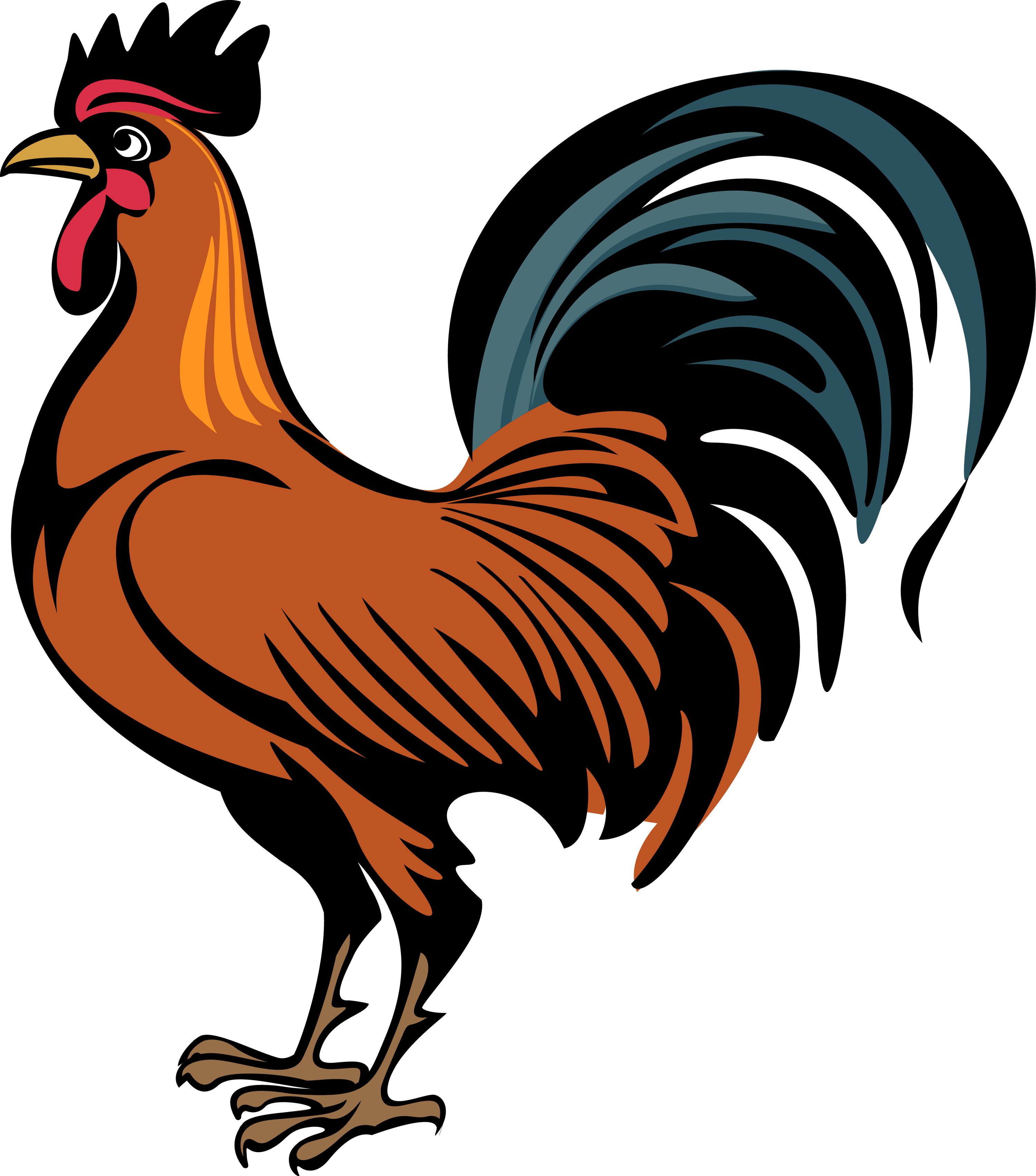 Cock Png (3000x3405), Png Download