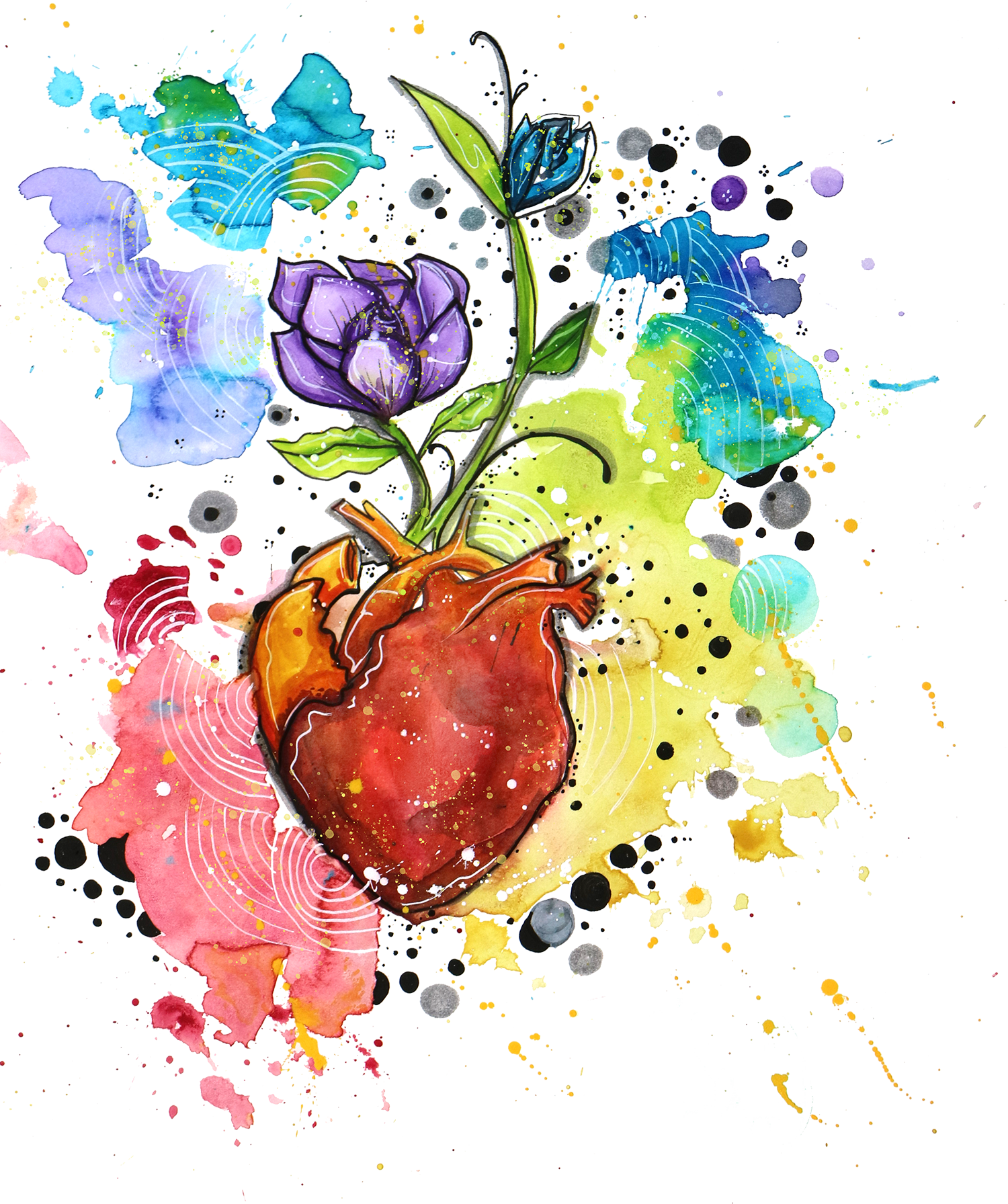 Heart,flower, Watercolours, Colour Splash - Heart (1500x1792), Png Download