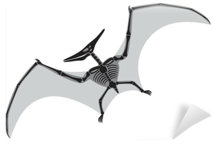 Pterodactyl Skeleton (400x400), Png Download