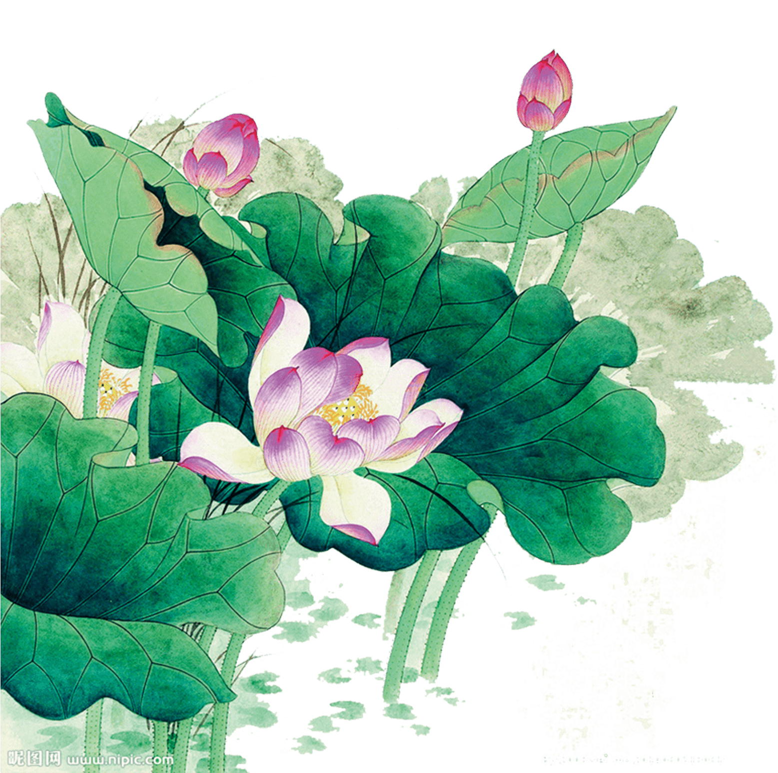 Chinese Brush Painting Peony Wallpaper Png (2480x2404), Png Download