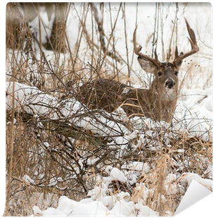 Photograph (400x400), Png Download