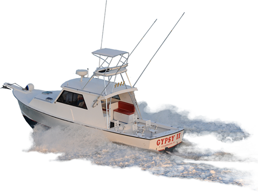 We Just Bought Another Boat So - Gypsy Fishing Charters Clearwater (504x374), Png Download
